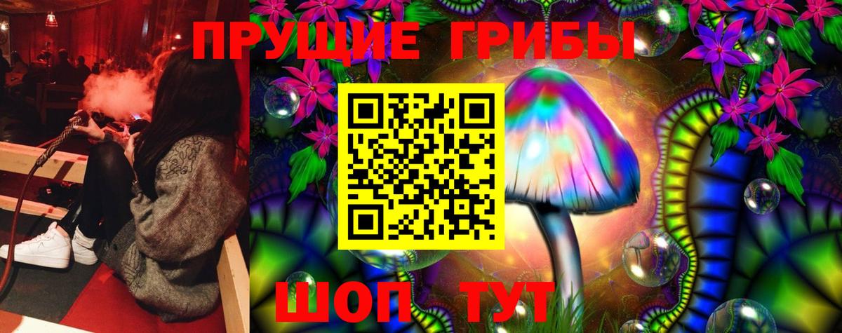Псилоцибиновые грибы мицелий  Вход с VPN  как найти наркотики  Псилоцибиновые грибы прущие грибы  Кропоткин 