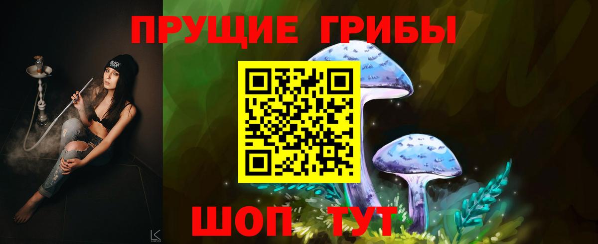 Псилоцибиновые грибы Cubensis Кропоткин